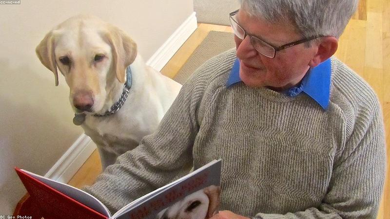 ChatGPT副業の市場が拡大している背景